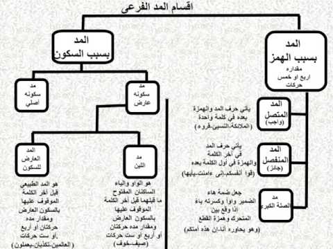 اقسام المد, دروس تجويد, احكام المد, انواع المد, تعليم تجويد, شرح تجويد