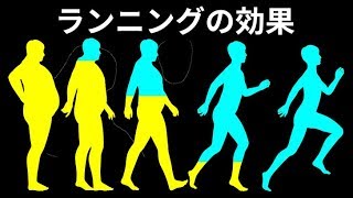 1か月毎日走っていたら、こんな変化がありました