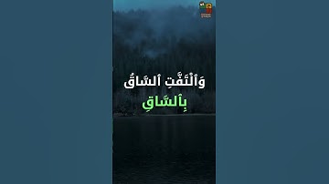سعود آل جمعة كلا إذا بلغت التراقي #سورة_القيامة #تلاوة_مؤثرة #تلاوة_خاشعة #تلاوة_مميزة #تلاوة_هادئة