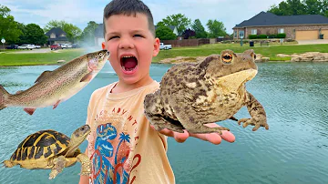 CALEB and MOMMY look for GIANT FROGS & TURTLES and GO FISHING with DAD in OUR BACKYARD POND!