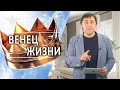 #287 Венец жизни - Алексей Осокин - Библия 365