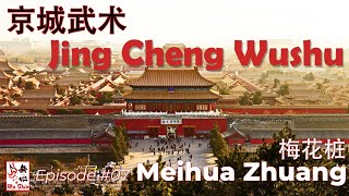 Jing Cheng Wushu 京城武术 - Mei Hua Zhuang Episode 梅花桩
