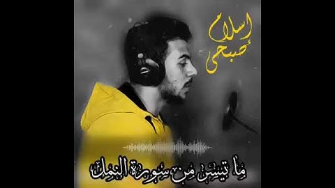 وترى الجبال تحسبها جامدة | سورة النمل إسلام صبحي"