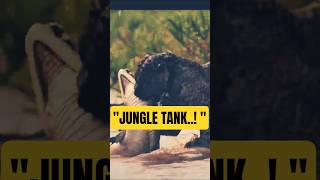 Jaguar: The Most Overpowered Cat in the Jungle! 🐆#shorts#animalfacts#knowledge