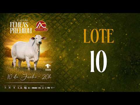LOTE 10 ARFS 198