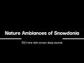 Nature Ambiances of Snowdonia - 8 hours dark screen music for sleep