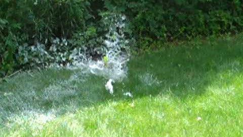 BB Gun Vs Silly String