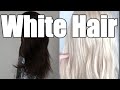 【白髪 】黒髪からホワイト ヘア カラー ホワイトニング  White Hair