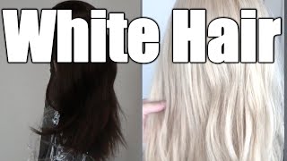 【白髪 】黒髪からホワイト ヘア カラー ホワイトニング  White Hair