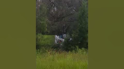 PLC Tree Service Land Clearing with the Bobcat T770 with Forestry Cutter attachment video 3