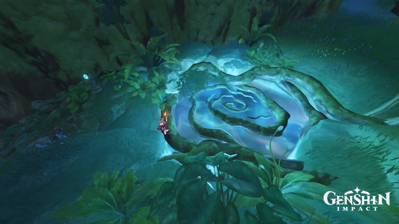 How to get in without open this Barrier in Apam Woods