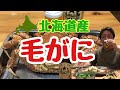 【居酒屋自宅】北海道産・毛がに【差し入れ感謝】
