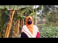 আসসালামুয়ালাইকুম Wellcome to my Live