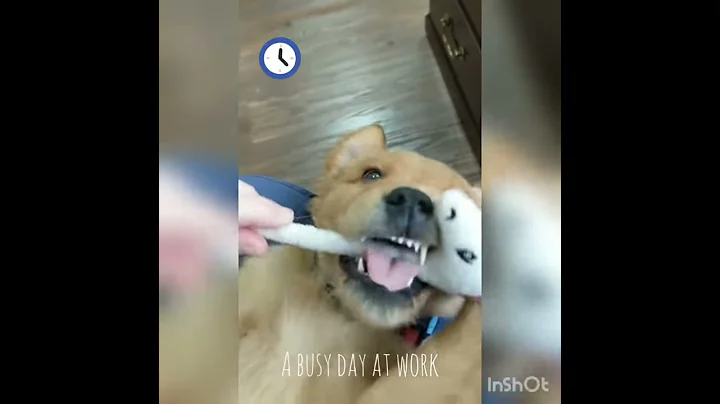 Branson's first day at the office!