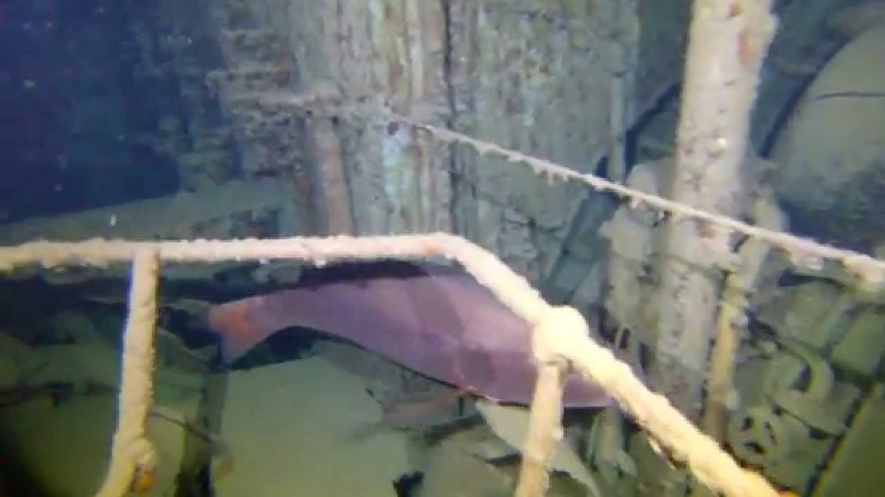 Diving the Sucre Wreck 031914