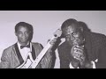 Hubert Sumlin    ~   Blues Guitar Boss ( Full Album ) 1990