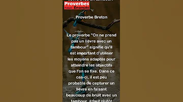 On Ne Prend Pas Un Lièvre Avec Un Tambour Proverbe Breton Shorts 