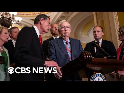 Sen. Mitch McConnell freezes during news conference