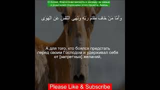 Коран Сура Ан-Назиат | 79:40 | Чтение Корана с русским переводом | #quran #qurantranslation