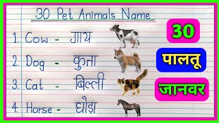 30 Pet Animals Name in Hindi and English | जानवरों का नाम | Janwar ke naam | Pet Animals Name |