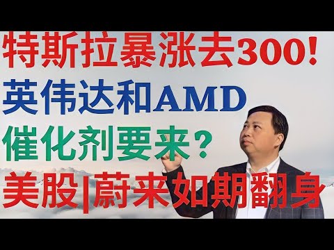 美股671|特斯拉如期暴涨去300!英伟达AMD催化剂要来?蔚来如期翻身,今日美股! #tsla #nvda #amd #nio #美股分析 #drmikeinvest #ai #stocks