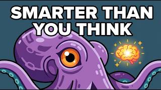 The Octopus That Planned Its Own Escape