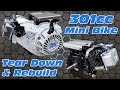 Predator 301cc Teardown & Rebuild
