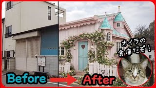 【倉庫のリフォーム完了!】猫たちの倉庫がこんな具合に仕上がりました!20260401、カラス＆四つ足クインテット（仮）