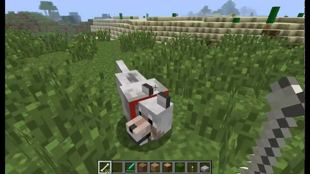 Jak oswoić psa, wilka w minecraft - YouTube