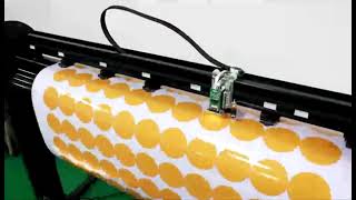 2021 servo motor with built-in CCD Camera