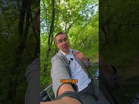 Что это за грибочки на крыше авто?