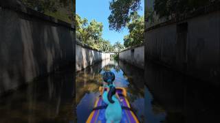 Aladdin A Whole New World Disney Drone Jasmine Magic Carpet Ride | DJI Avata 2