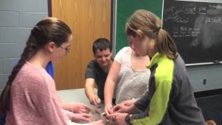 Team Building-Newspaper Tower