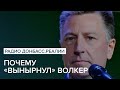 LIVE | Почему «вынырнул» Волкер | Радио Донбасс Реали