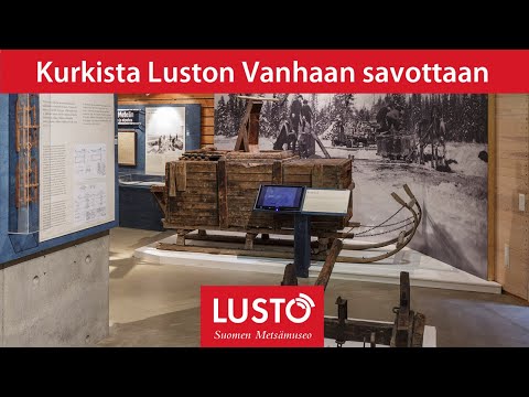 Video: Kuinka Puuta Käsitellään