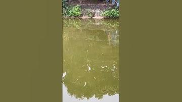 Các bạn nghe tiếng rít cước có thấy phê ko ạ