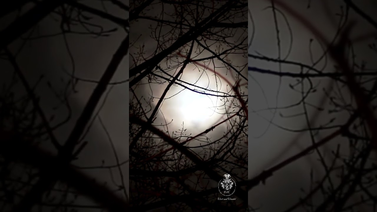 Vertrauen | Tagesimpuls 14.04.2025