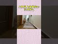 これ以上は出ないシステム #神戸 #柴犬 #shibainu #shiba #癒し