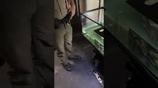 Where Is Gatorpool Gatorz