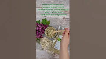 Пол-пала трава / Эрва шерстистая / Травы Горного Крыма