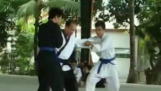 Our Bunkai (Enter The Dragon Theme)