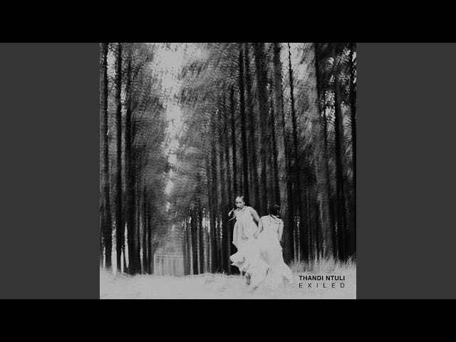 THANDI NTULI - What's Left?
