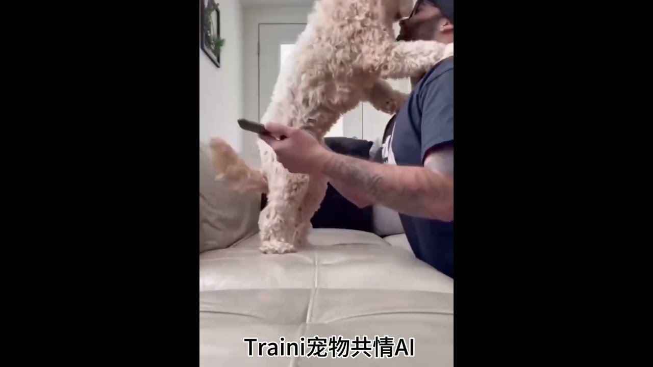This APP can translate what your dog says 