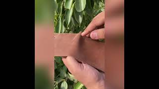 Buttery Soft Men’s Leather Wallet with Pictures screenshot 2