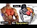 Full exercise bodyweight chest  triceps workout