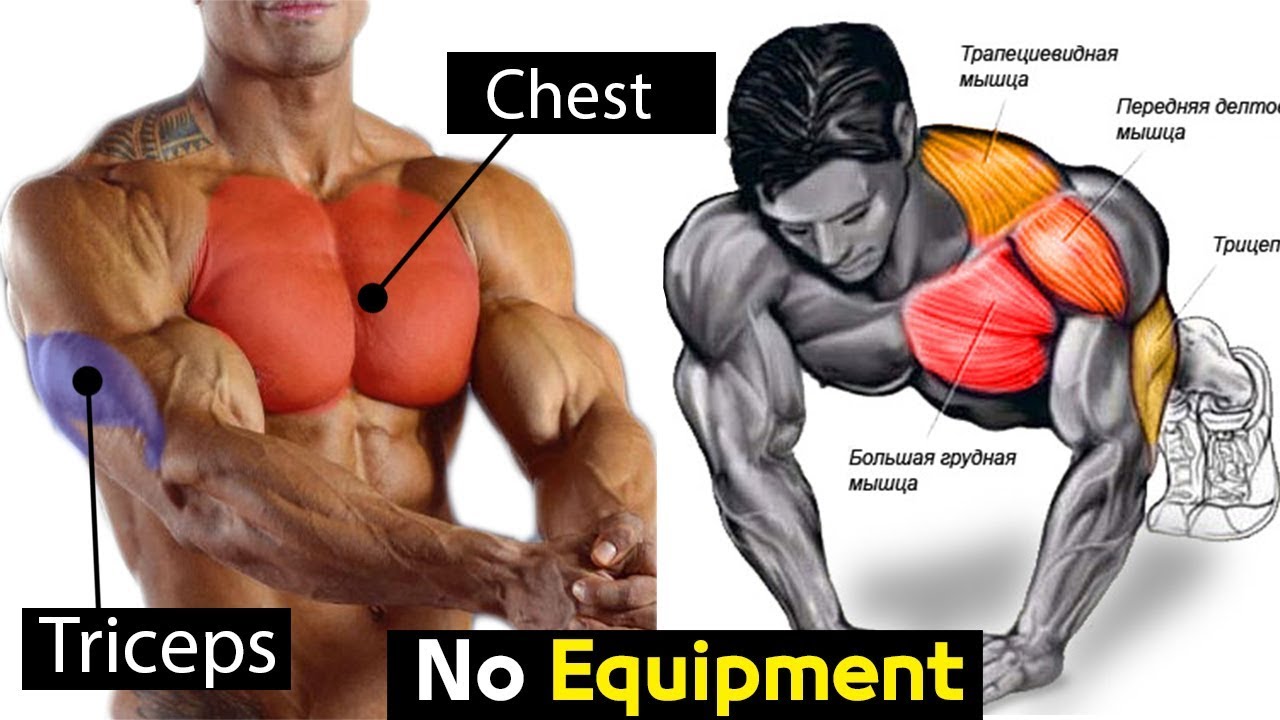 Full Exercise Bodyweight Chest