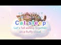 ふわふわ猫と おやすみタイム-Fluffy Cat & Sleepytime Vibes
