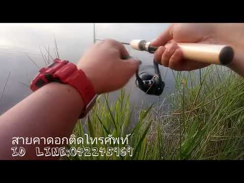 สายคาดอกติดโทรศัพท์มือถือ