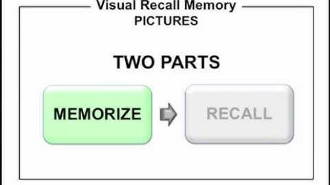 RC21X Instructions: Visual Recall Memory (Part 1 - Memorize)