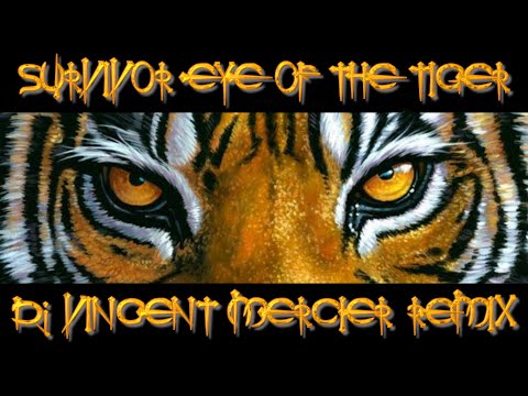 Survivor - Eye of the Tiger (JNL remix)